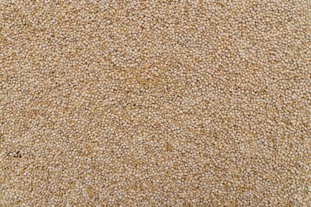 chia-scaled.jpeg